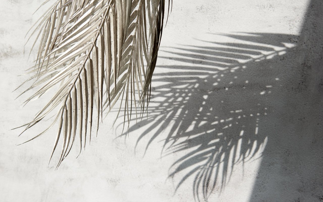 Leaves Naples and Southwest Florida lifestyle.