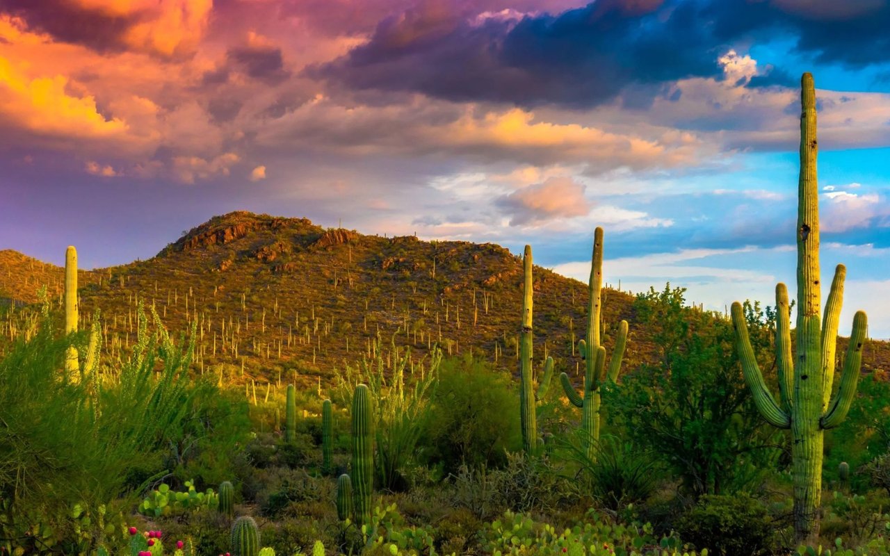 Three Ways to Enjoy the Outdoors in the Tucson Area this Autumn