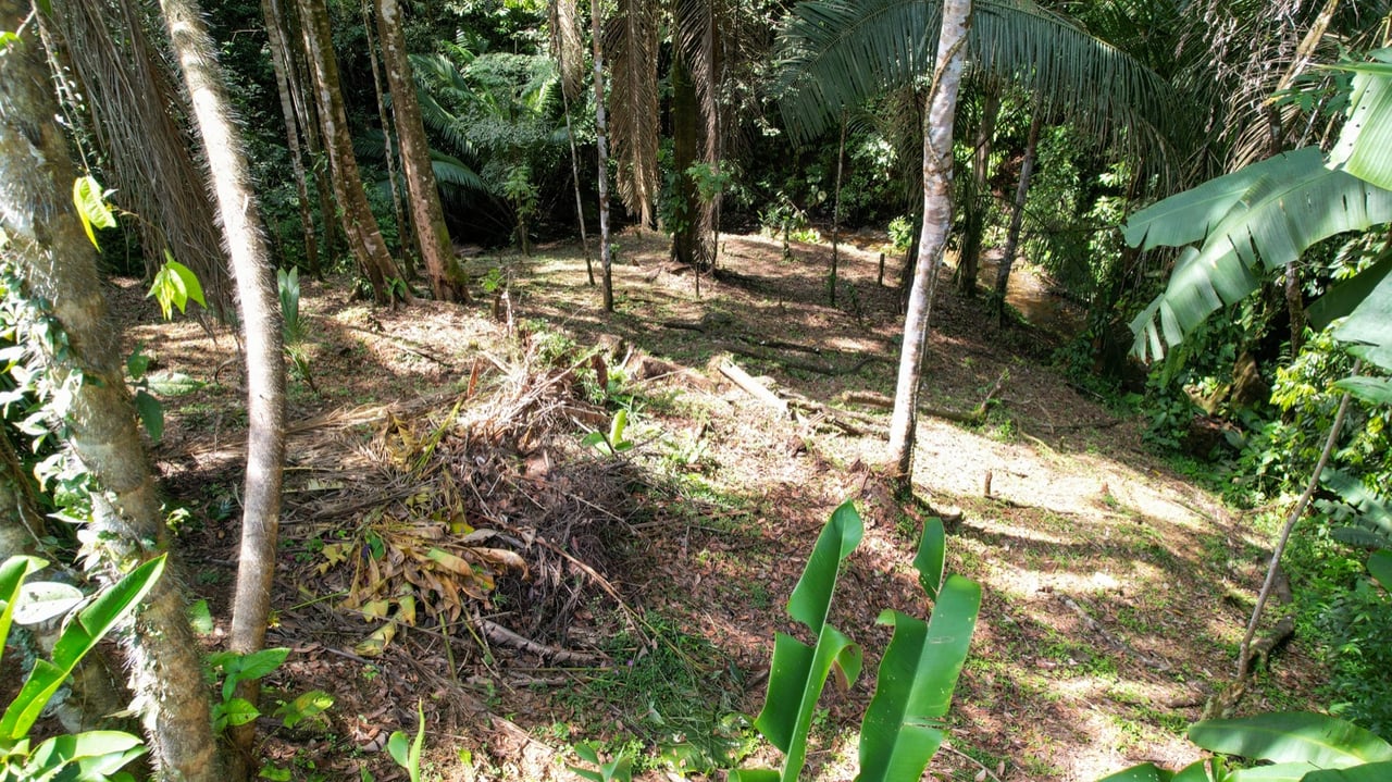 Charming Playa Hermosa Retreat – Your Tropical Paradise Awaits!