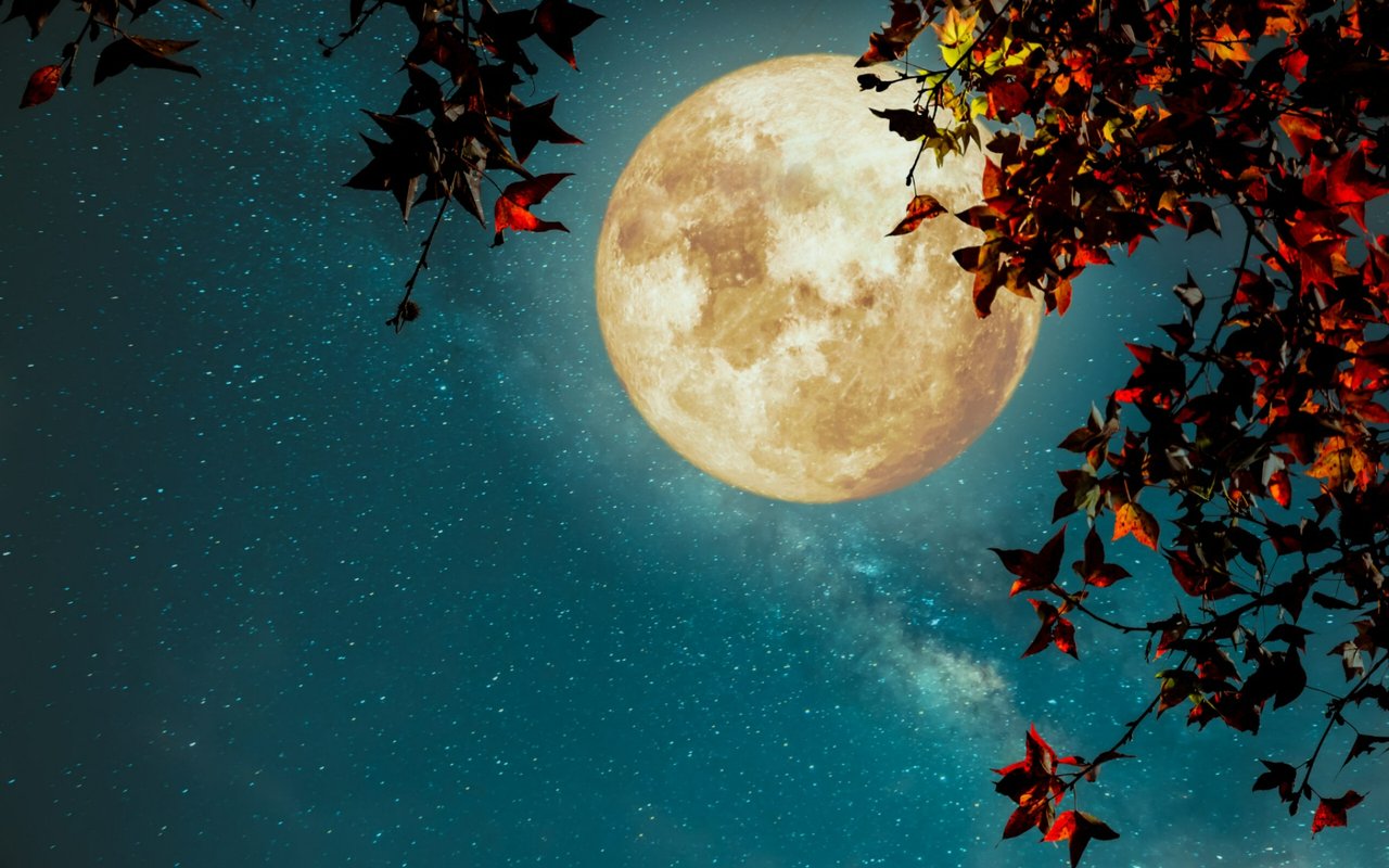 6 in the 6: After Dark