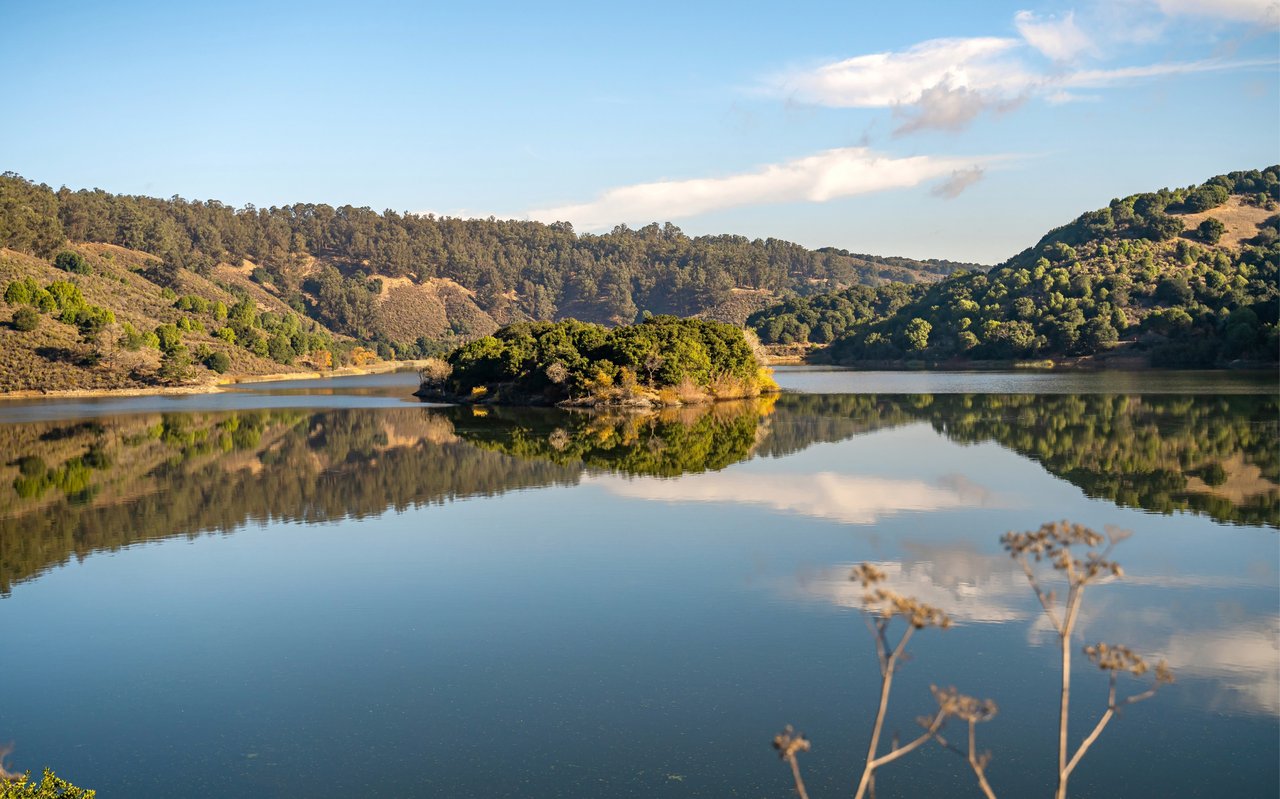 Living in Castro Valley, California