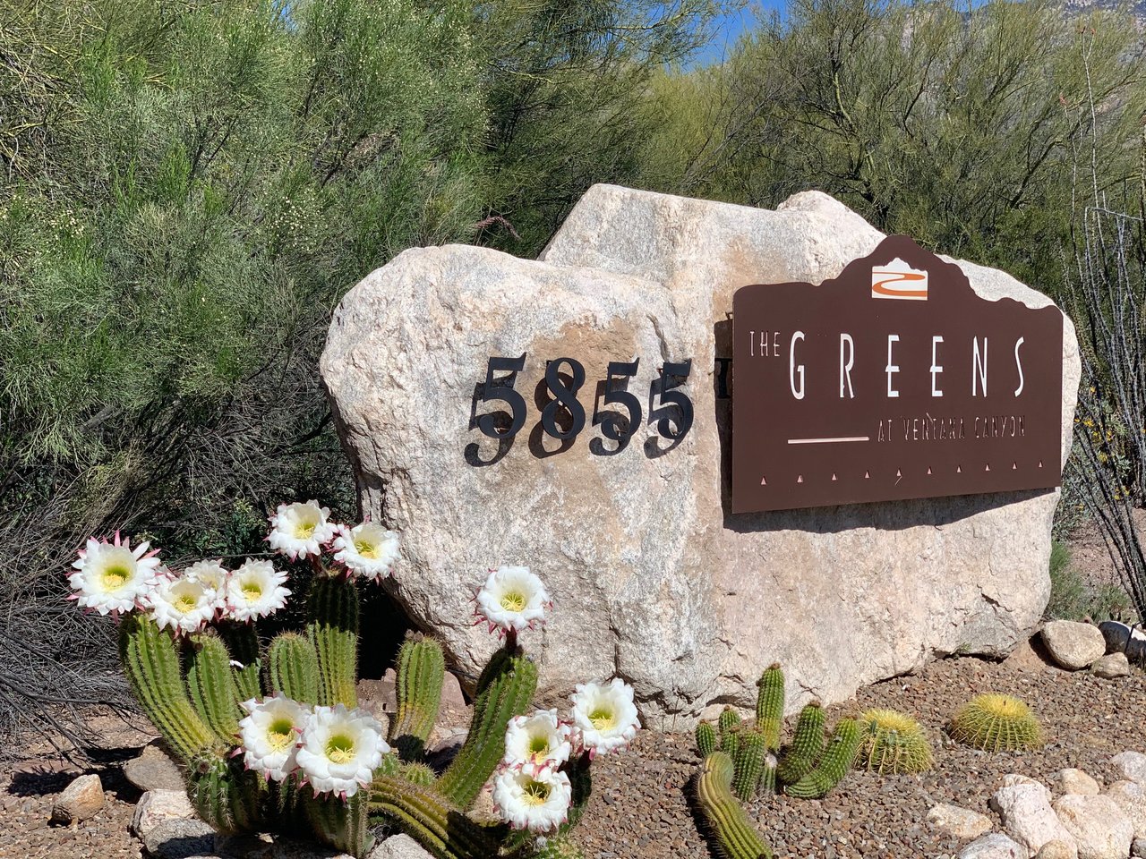 The Greens at Ventana Canyon