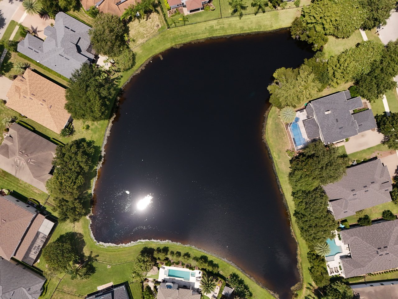 Aerial view of homes around a pond, with landscaped yards and a swimming pool.