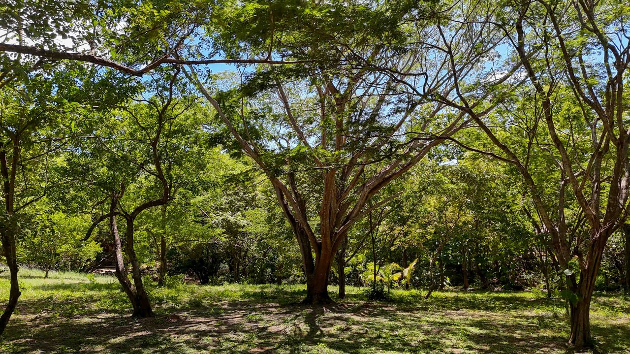 Acreage Estate Lot | 7,128 m² Buildable Property Near Playa Avellanas