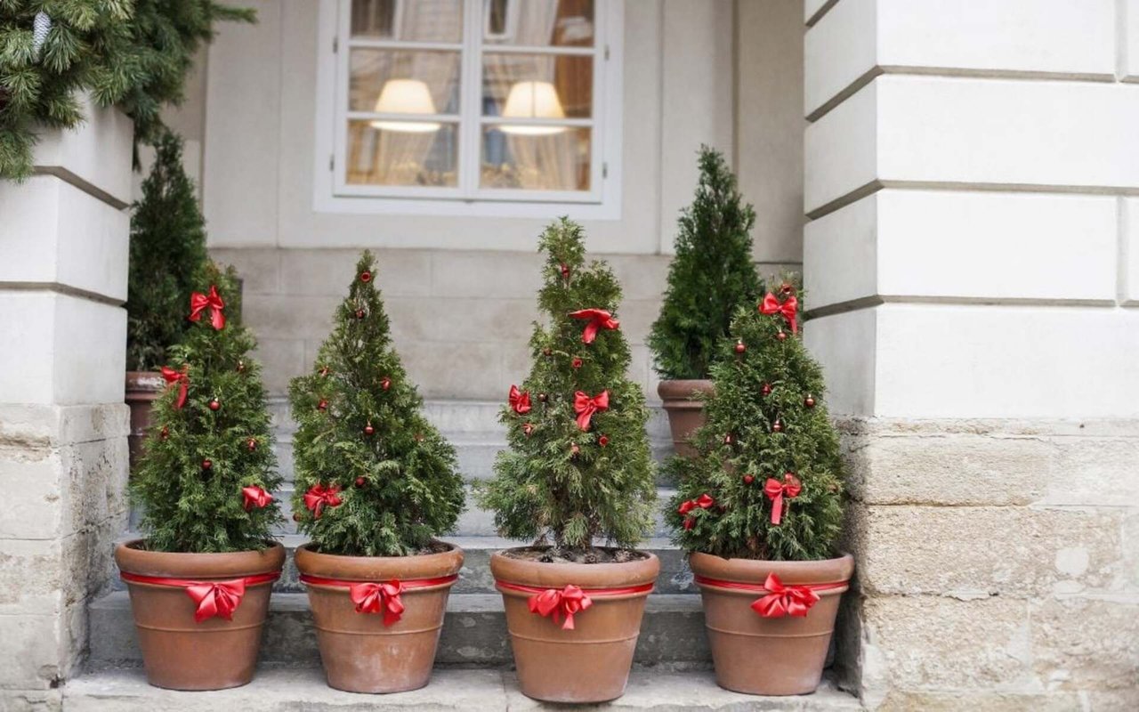More Homes for the Holidays!