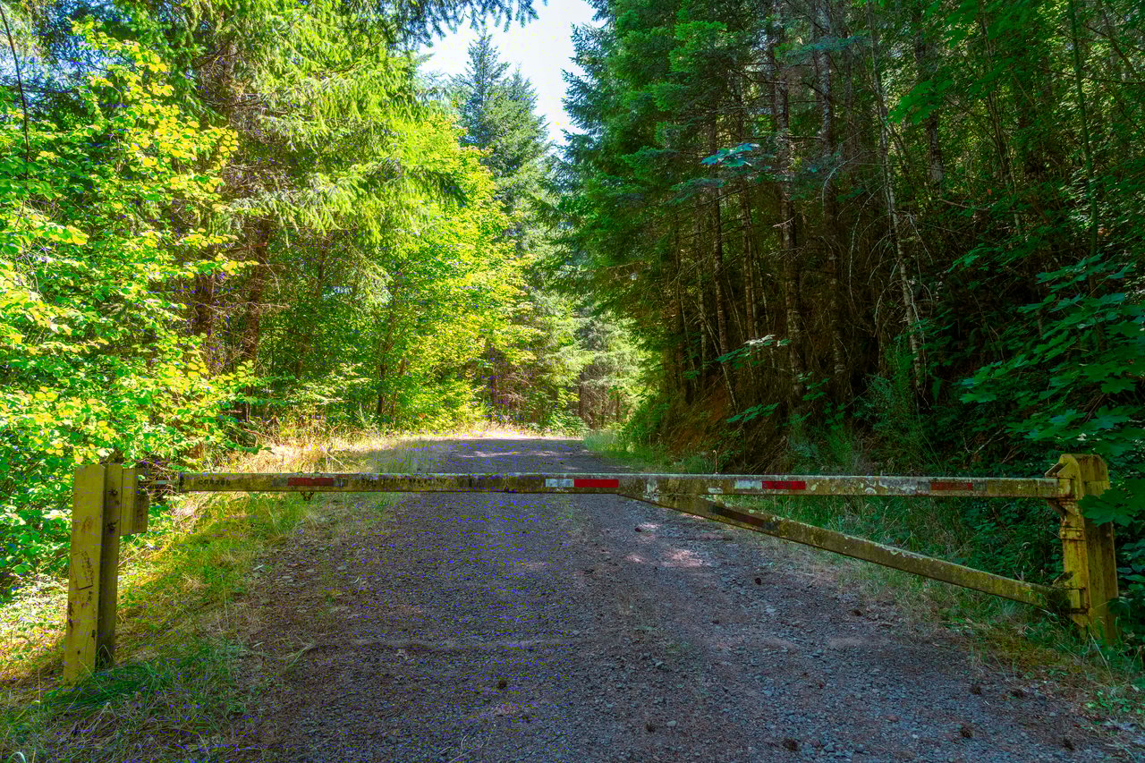 Coast Fork Woodland Meadows