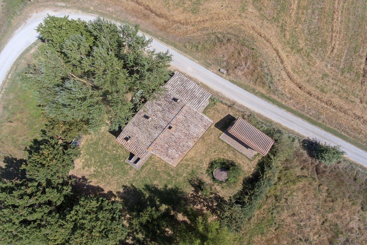 CASALE SANDRA