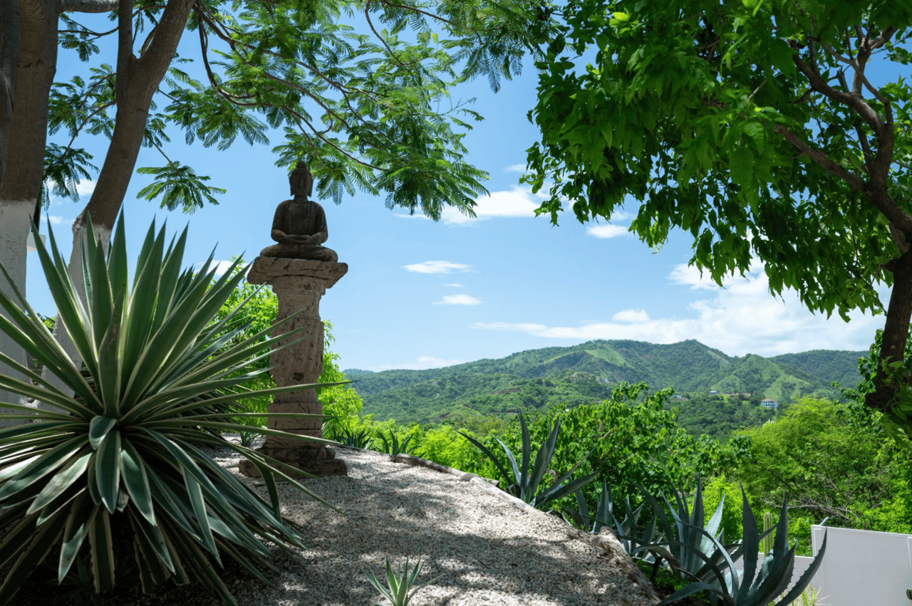 Modern Tropical Estate 7 Acres - Playa Potrero