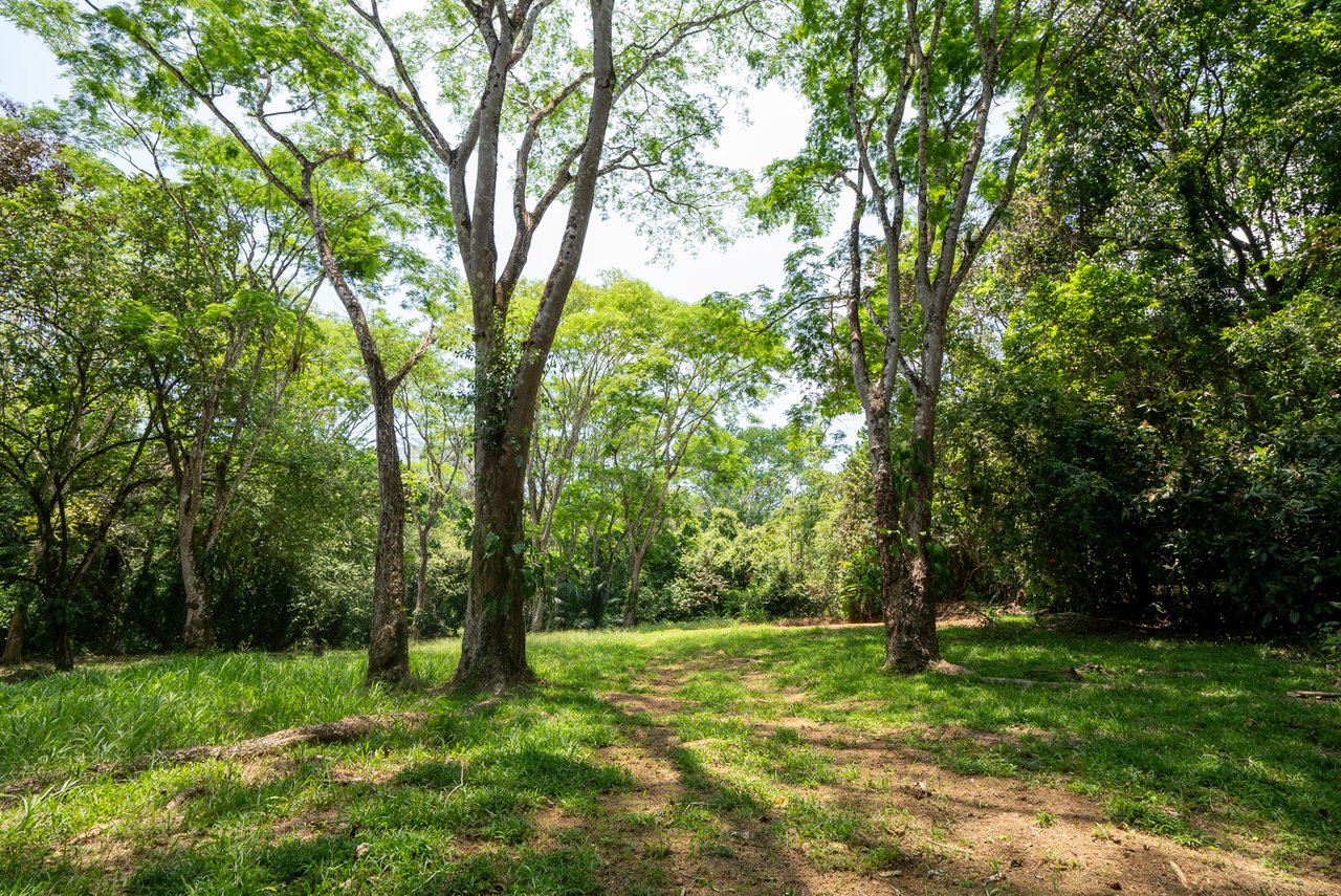 Rare 86-Acre Ocean View Estate Bordering Hacienda Barú – A Unique Opportunity for Conservation and Development