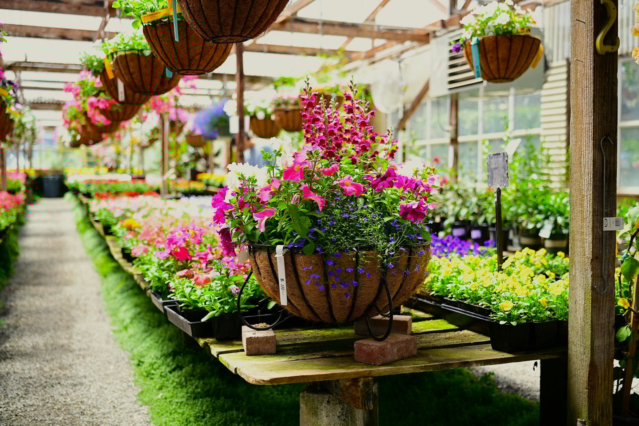 Charlotte’s Best Neighborhoods for Gardeners and Nature Lovers