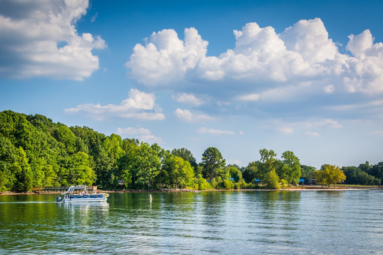 Pontoon boat near wooded Lake Oconee shoreline