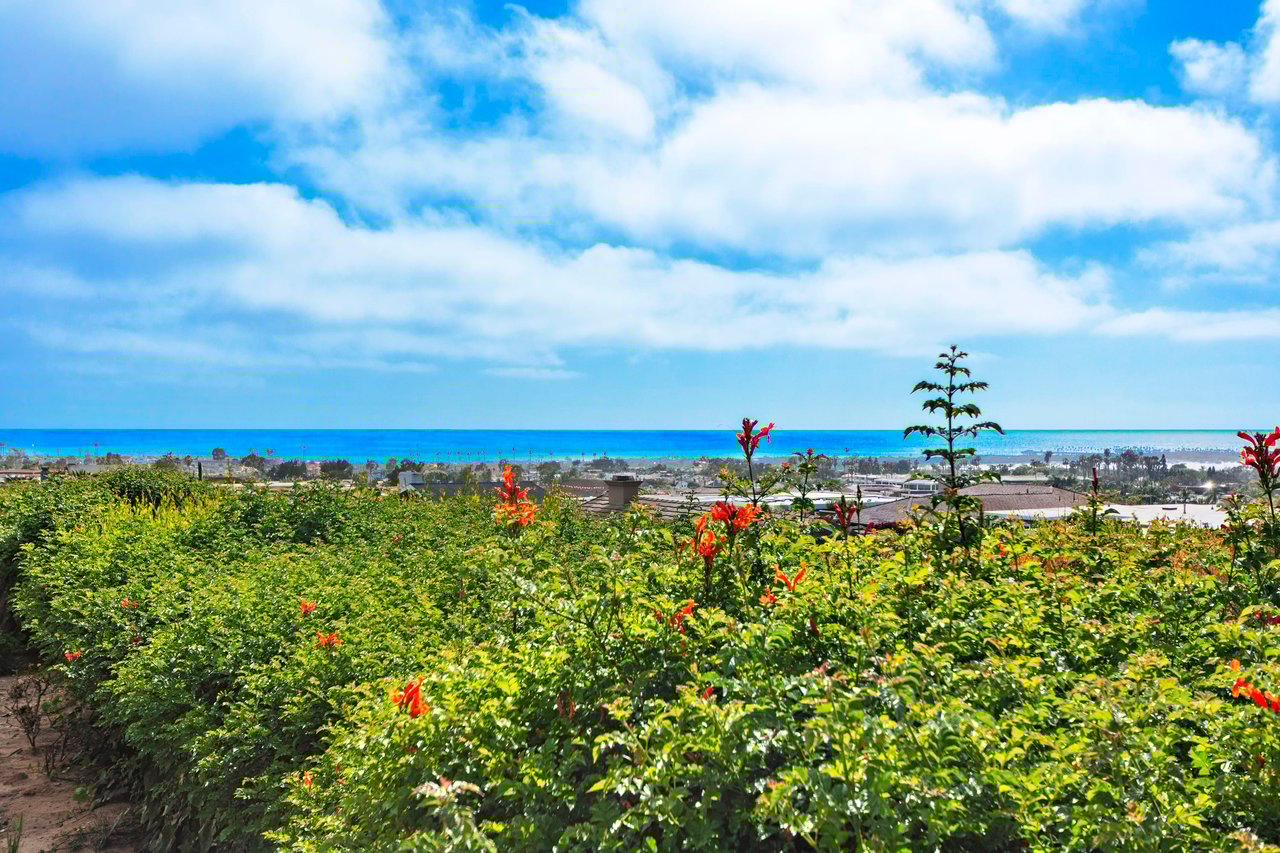 Spyglass Harbor View Hills