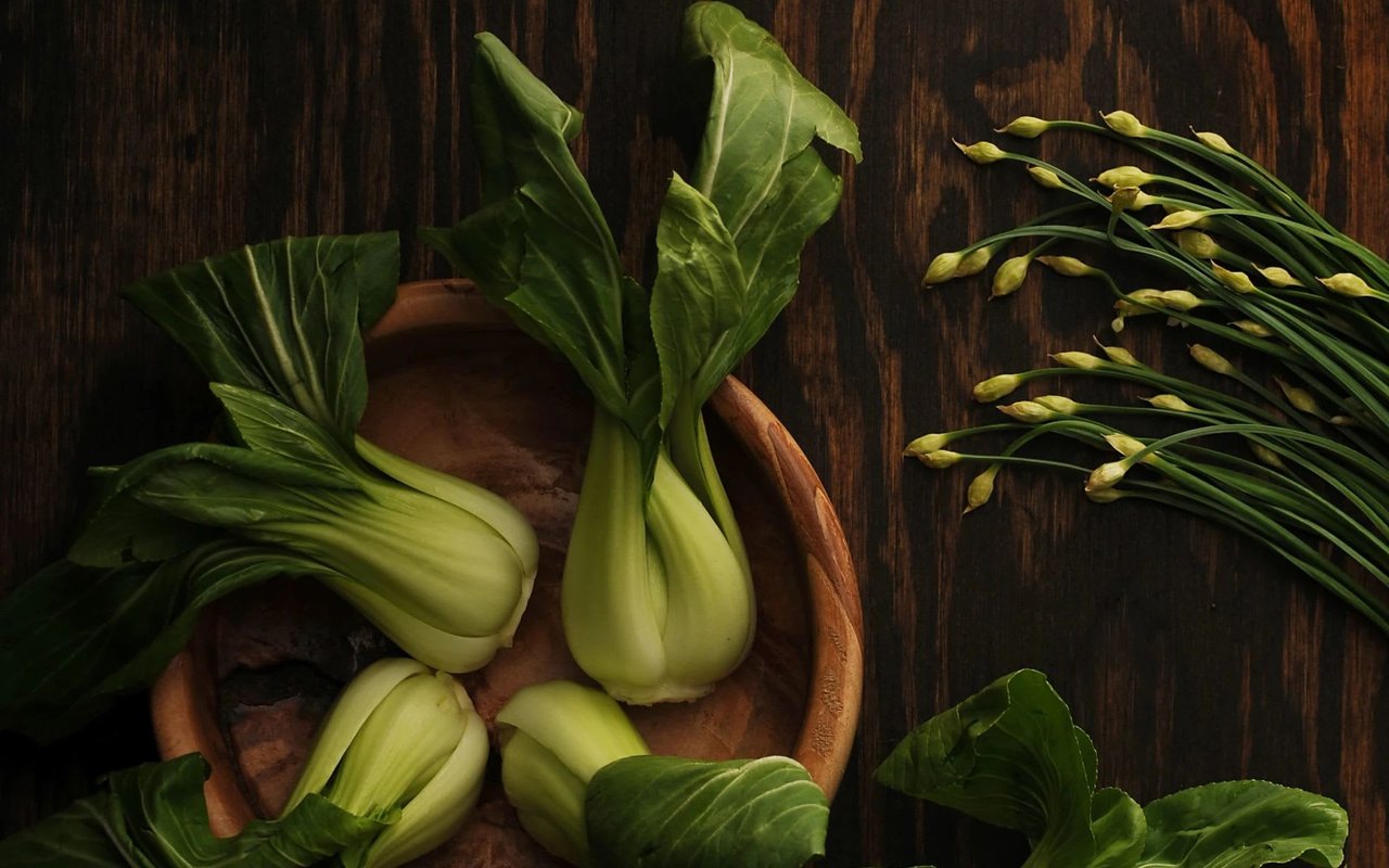 JANUARY 2023 CALENDAR