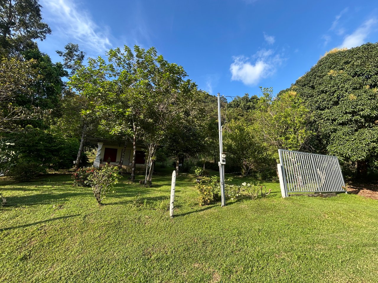 Commercial & Residential Property in Punta Mala with Producing Fruit Trees