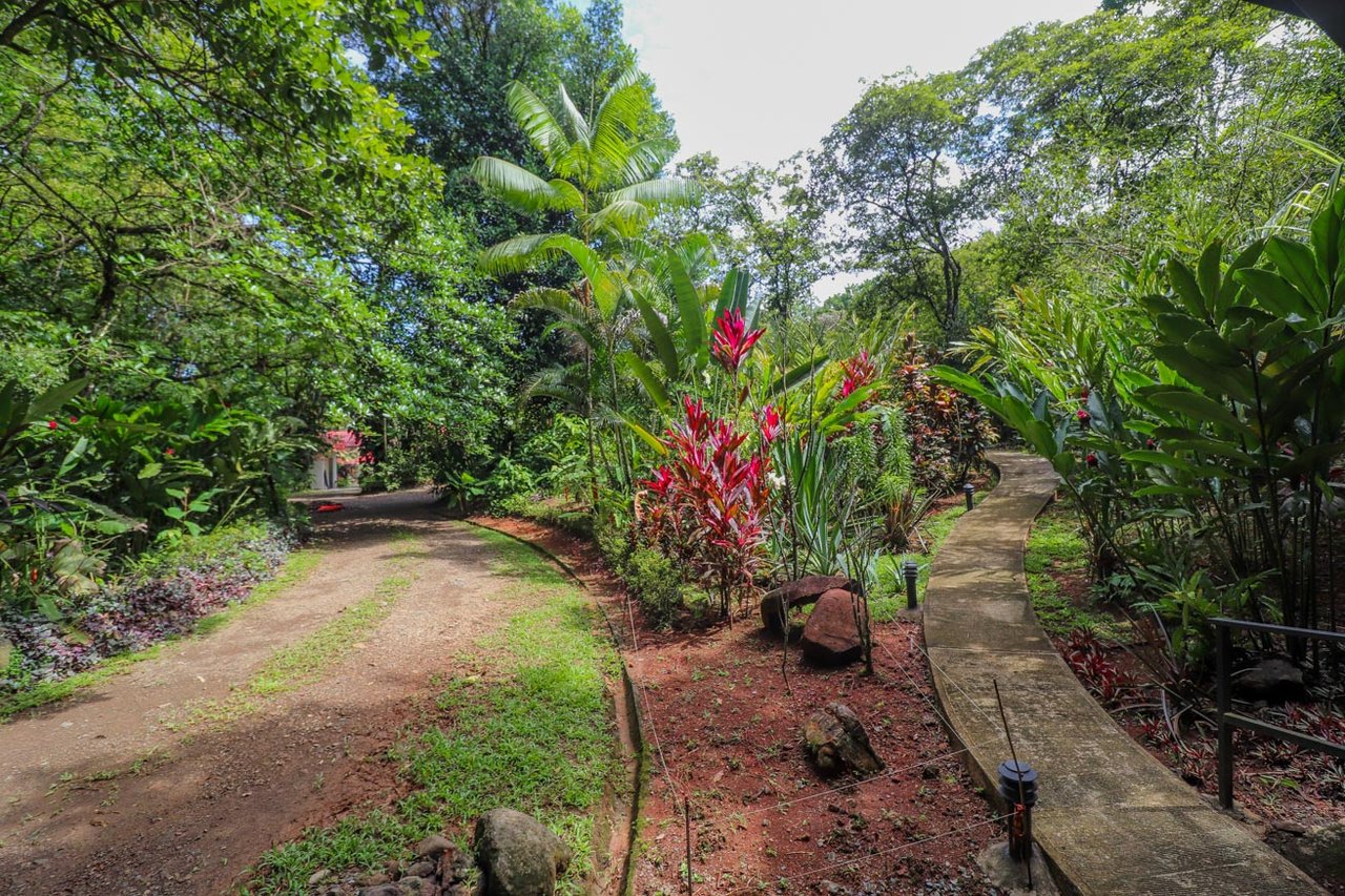 Ojochal Jungle Retreat for Sale with River, Pool, and Income-Generating Casitas