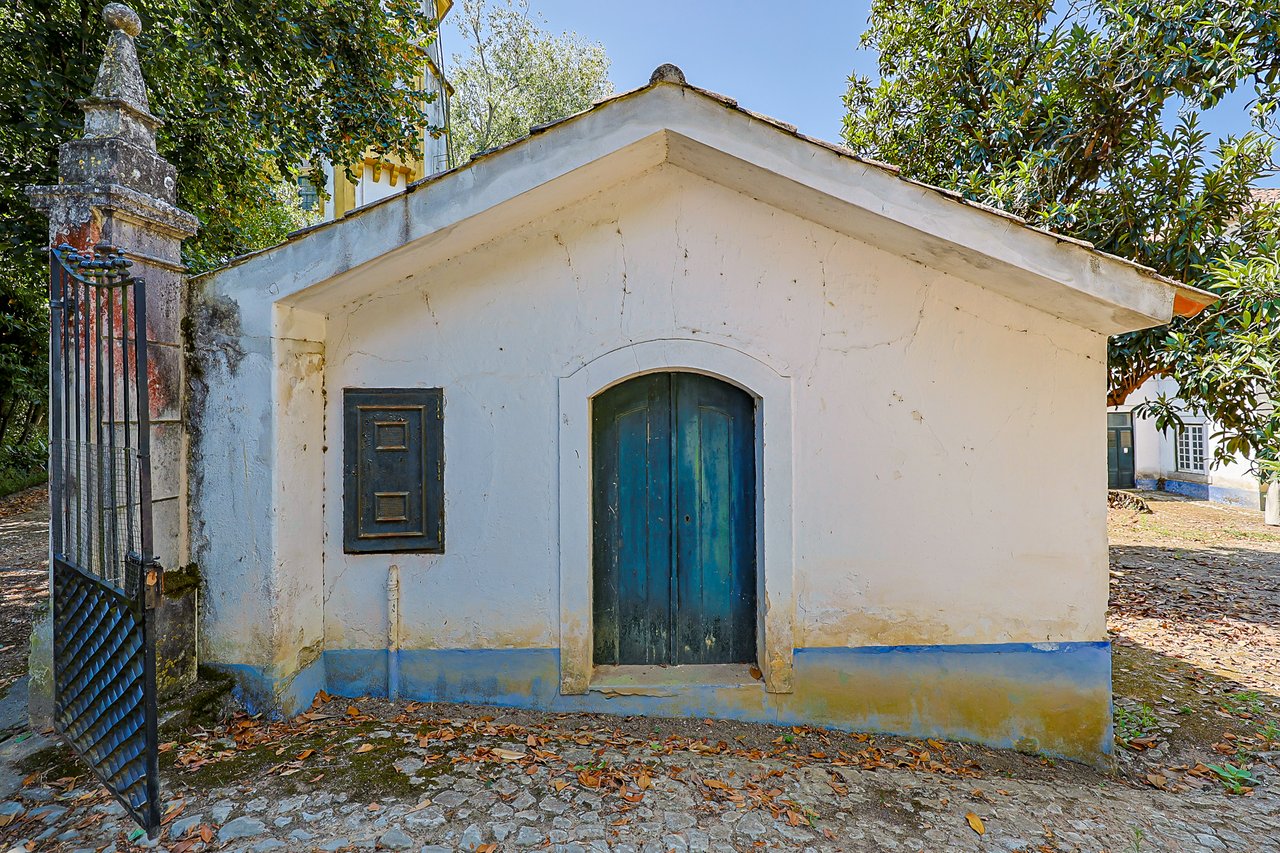 Magnificent 17th-Century Palace with  76,400 m² Estate Near Coimbra