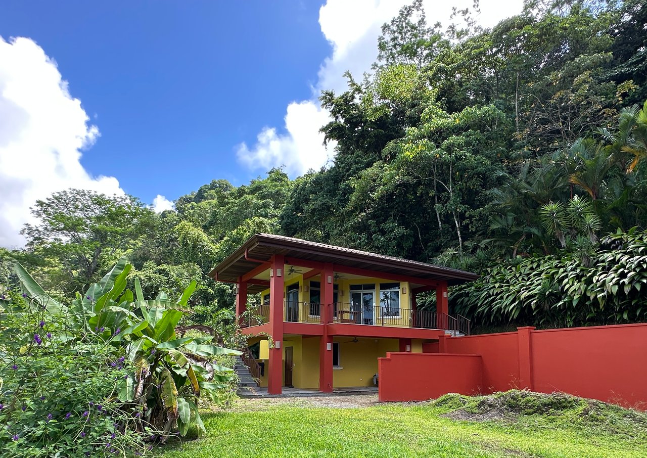 Build-Ready Ocean View Land with Guest House & Fruit Orchard | Tres Rios, Costa Rica