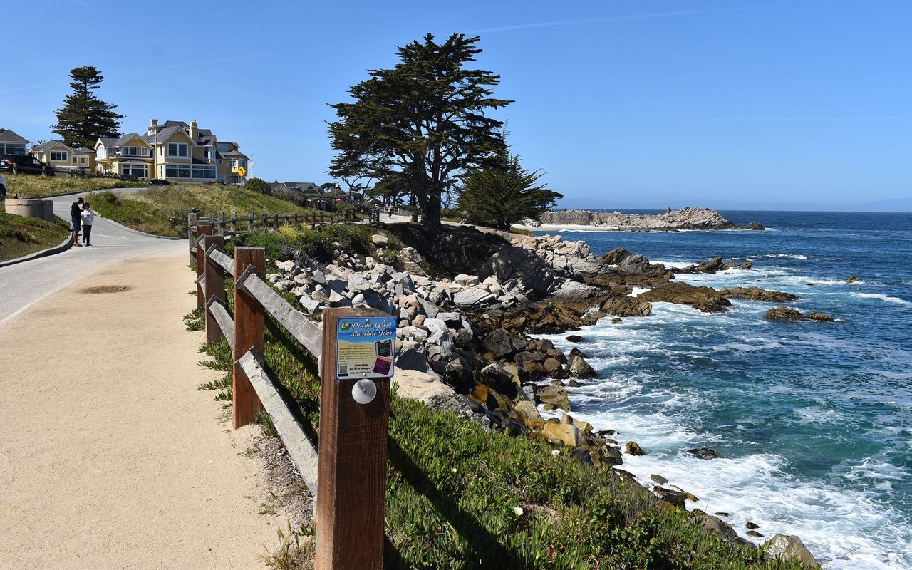Pacific Grove shoreline path beside rocky ocean waves, with cypress trees and homes on the bluff.