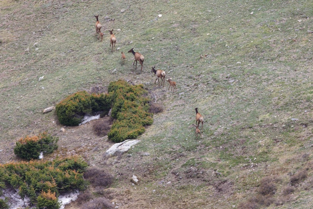 Where the Road Meets the Sky: Driving Trail Ridge Road