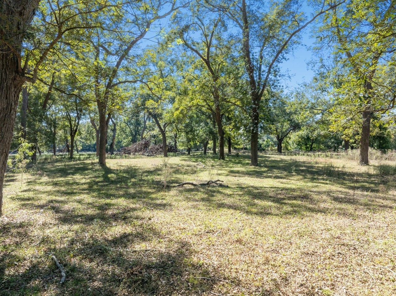 +/- 220 Acre Guadalupe Riverfront Ranch For Sale!