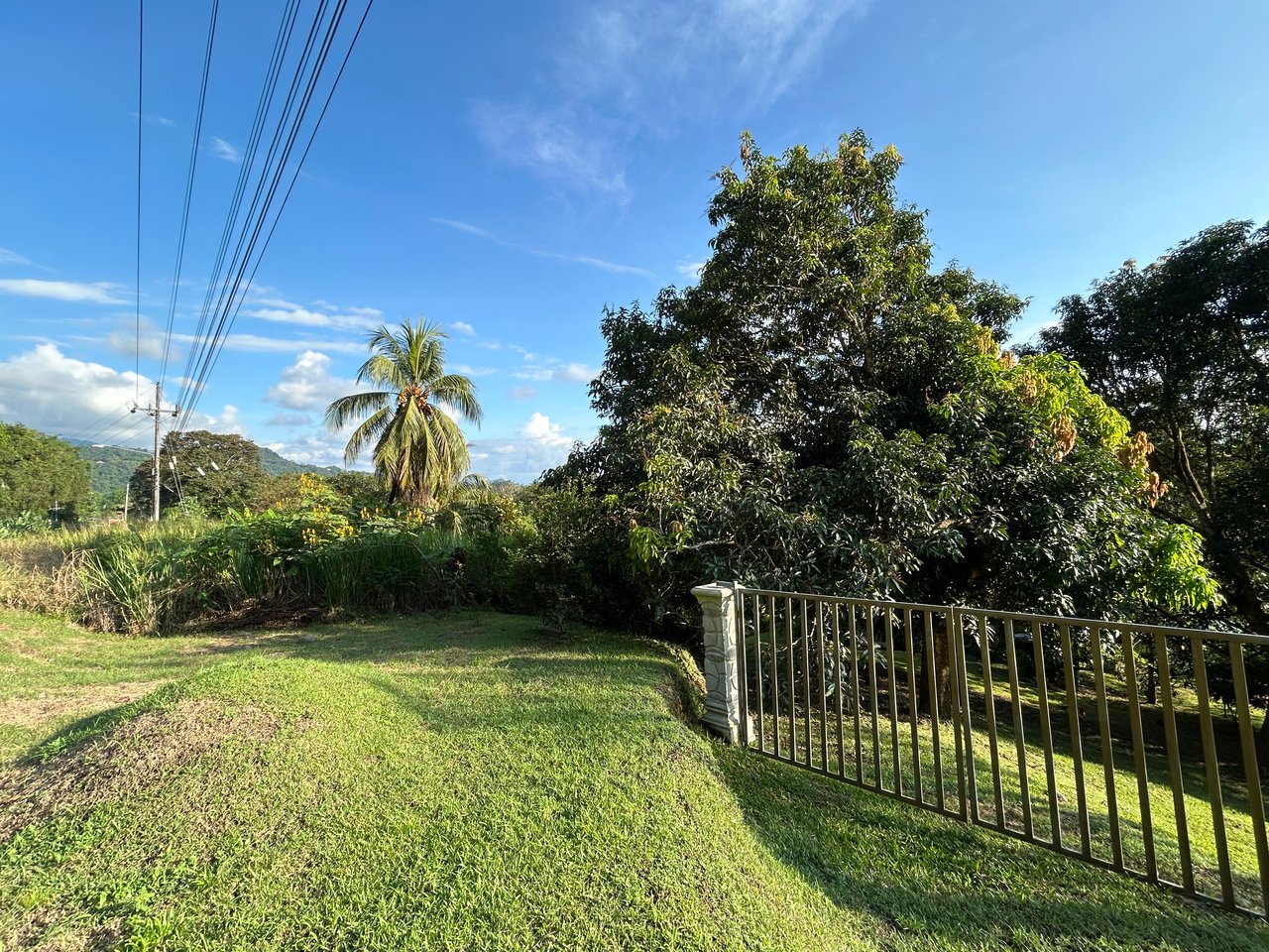 Commercial & Residential Property in Punta Mala with Producing Fruit Trees