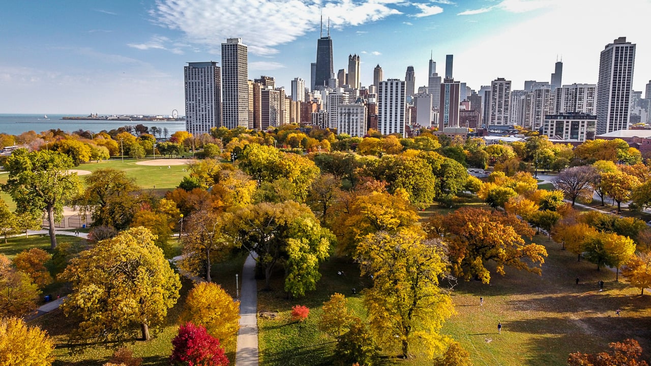 Gold Coast vs. Lincoln Park: Which Fits Your Life?