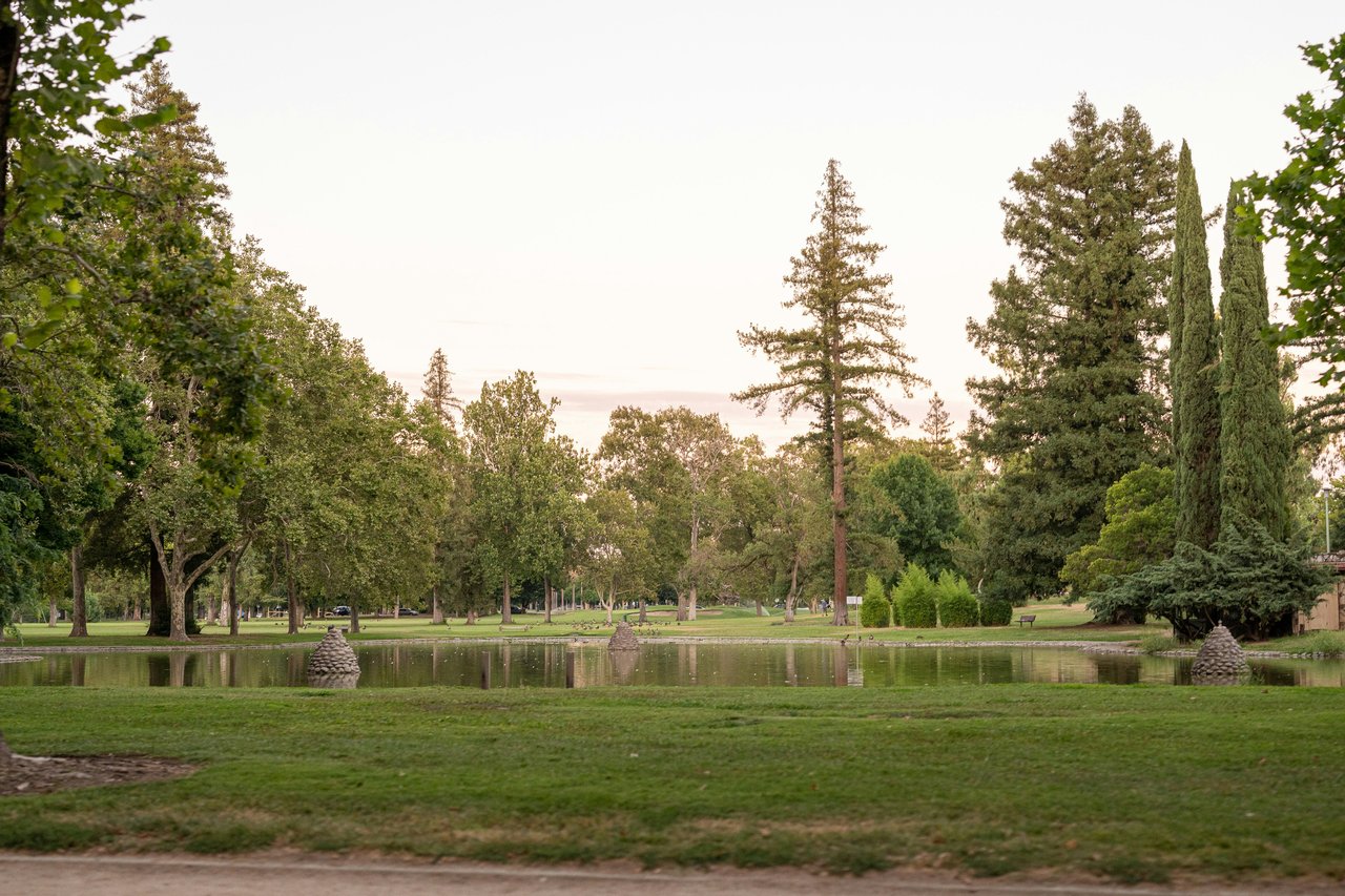 CURTIS PARK