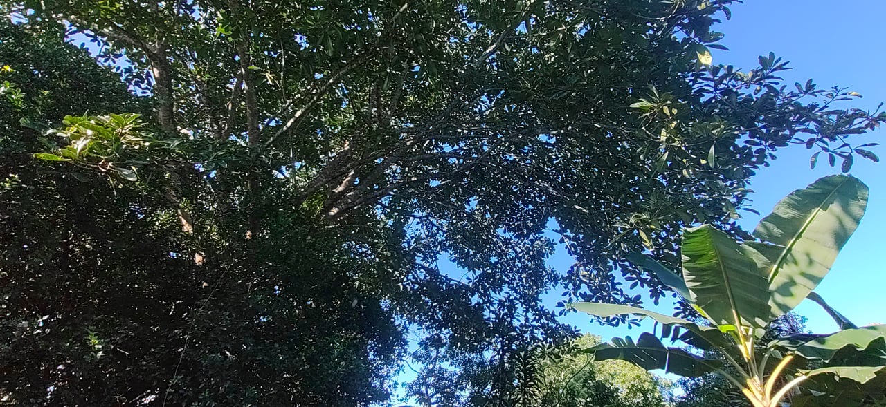 PRIME 1,100 M² LOT IN RESIDENCIAL LOS VIEJOS – FLAT, PRIVATE, AND READY TO BUILD
