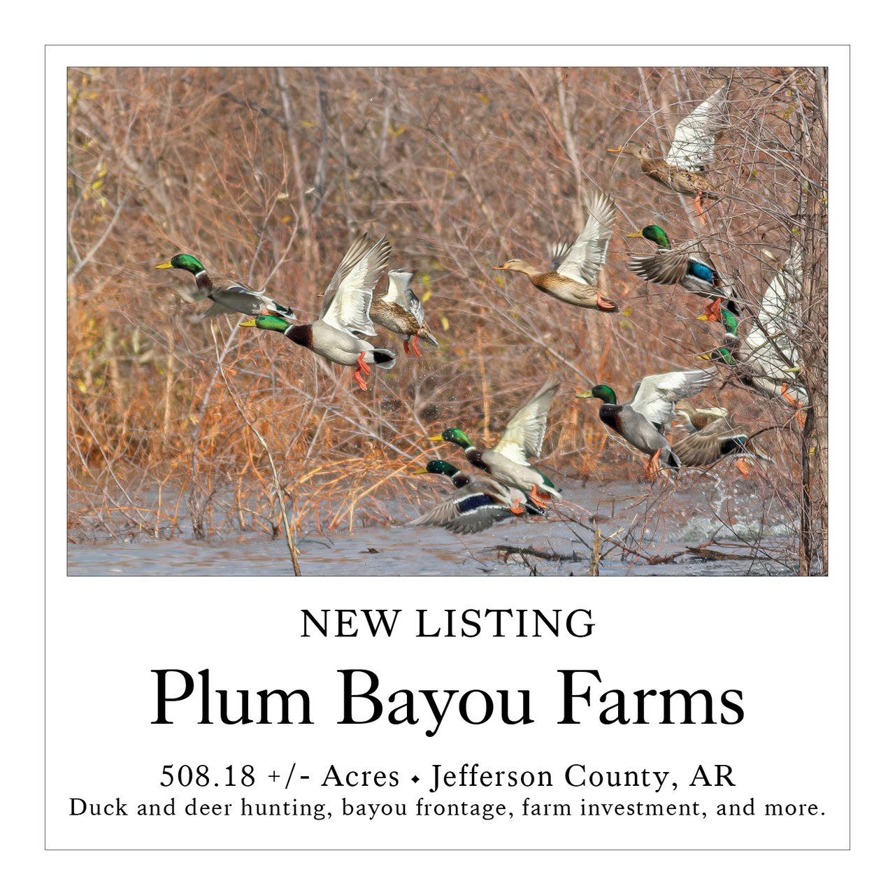 Plum Bayou Farms