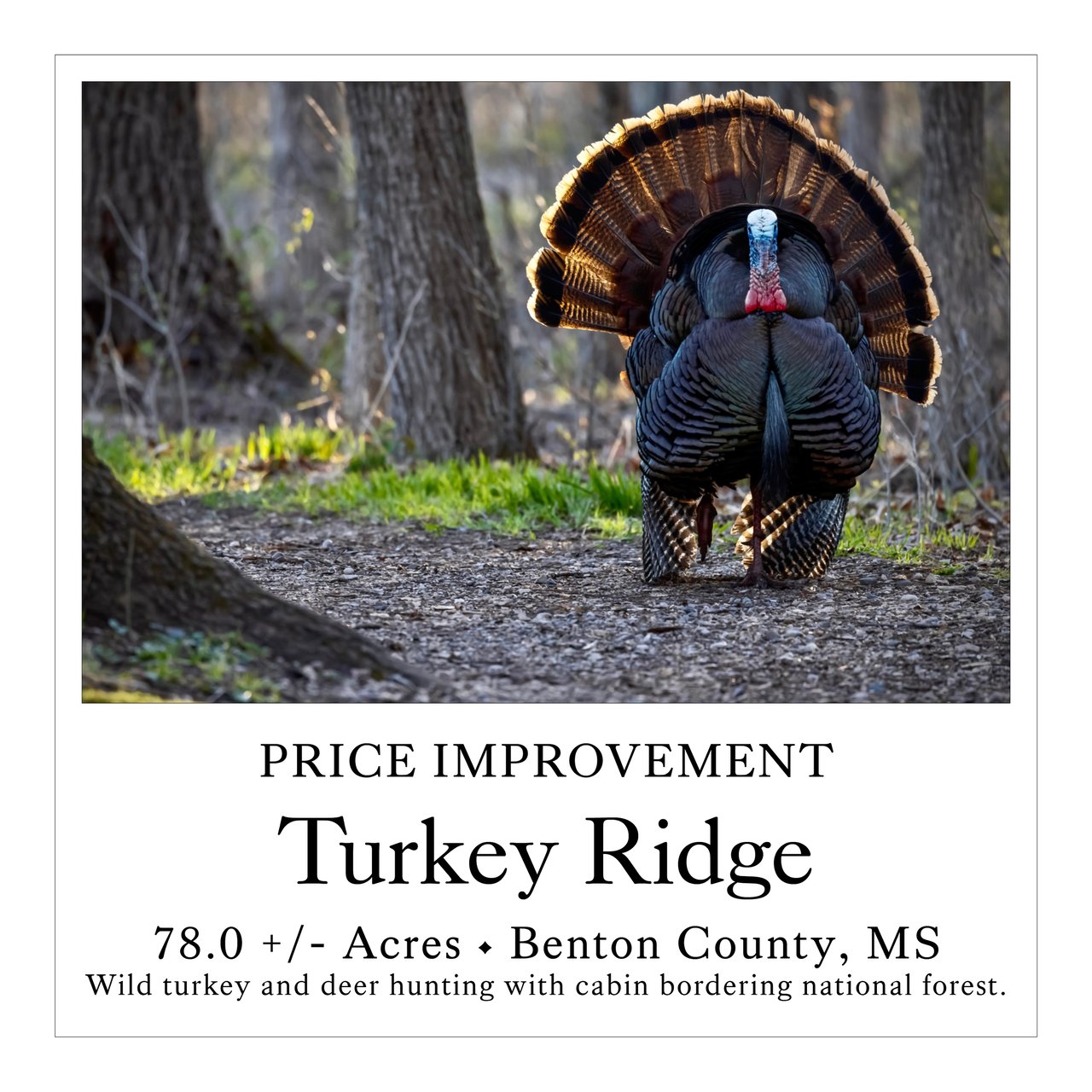 Turkey Ridge