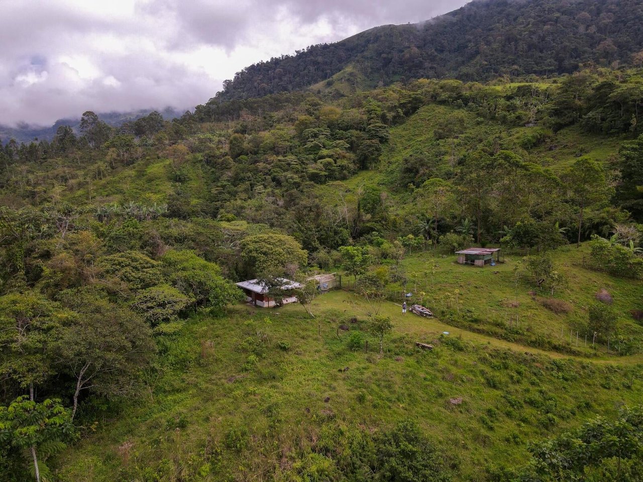Sustainable Organic Mountain Farm, Perez Zeledon, San Jose