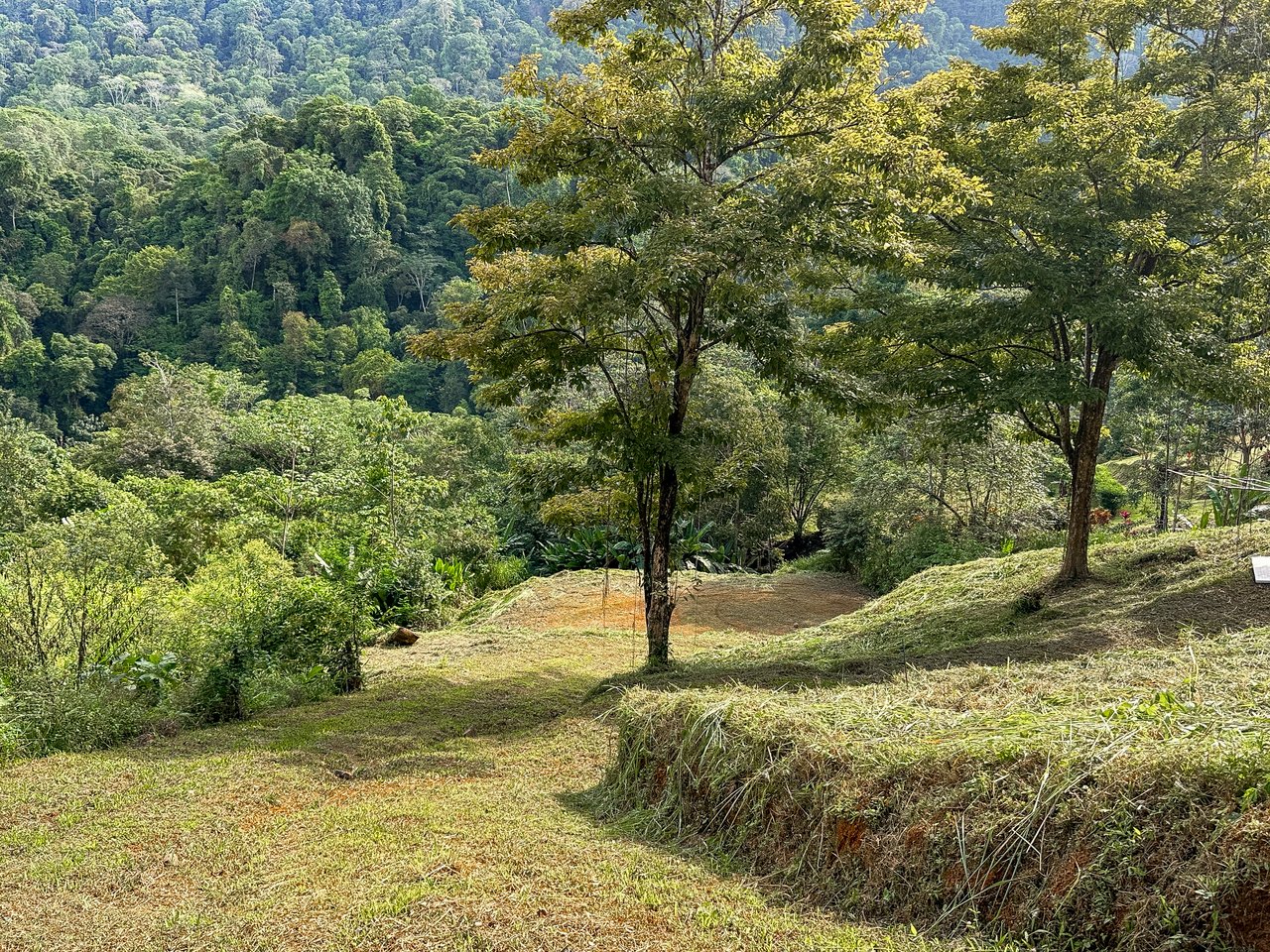 A Huge Rainforest, River & Waterfall Property With TWO Mountain & Jungle-View Luxury Homes on a Massive 4.93 Acre Lot – PLUS an Additional Plantel ready for Development