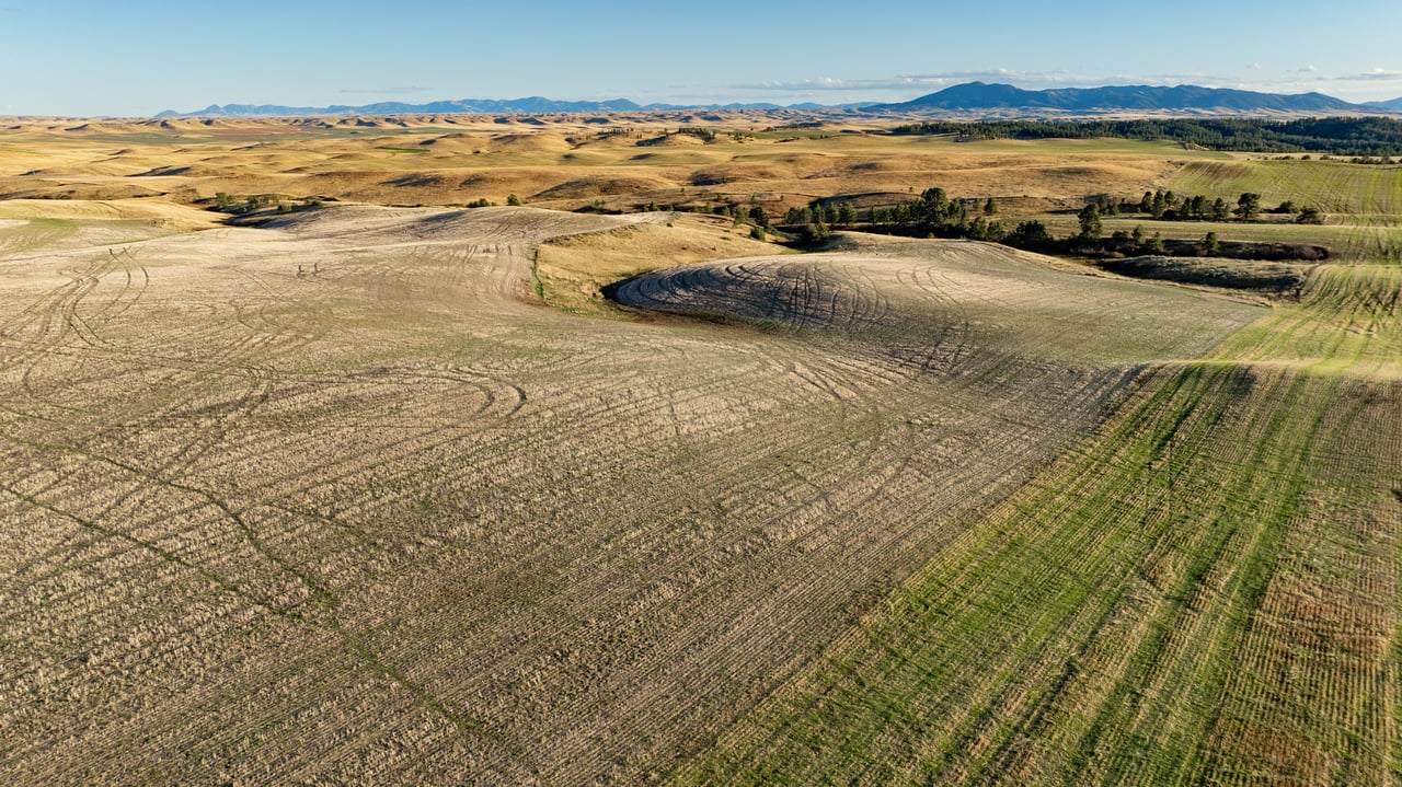 Salt Creek Ranch
