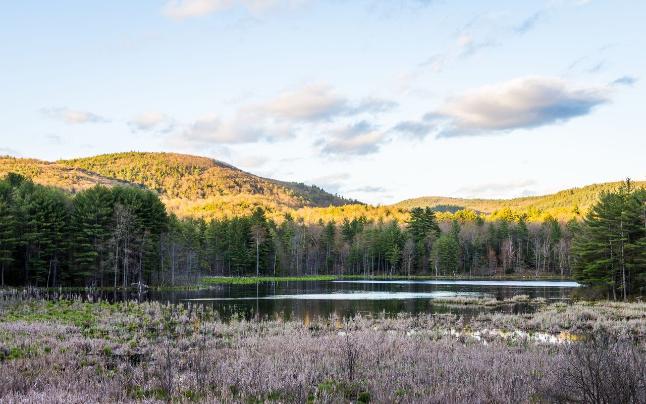 Windham