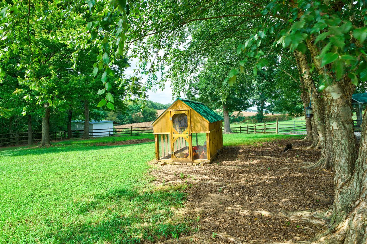 29-Acre Equestrian Estate with 14-Stall Barn