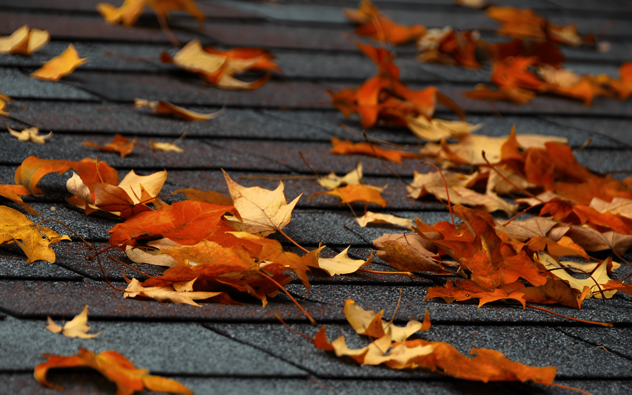 What Colorado Landlords Need to Know for Fall 2024