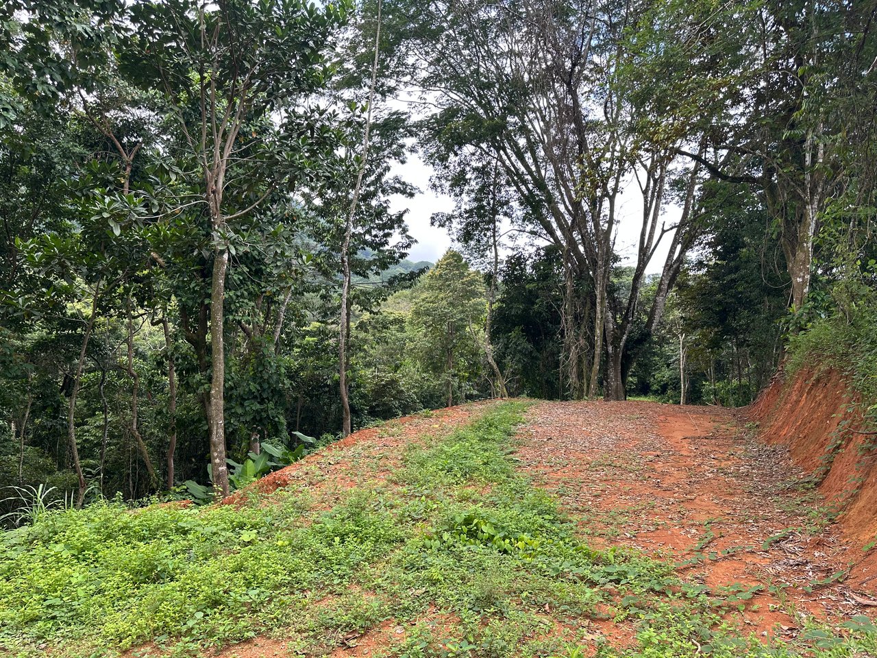 Jungle Oasis with River Frontage Near Dominical – 5.2 Acres of Pure Nature