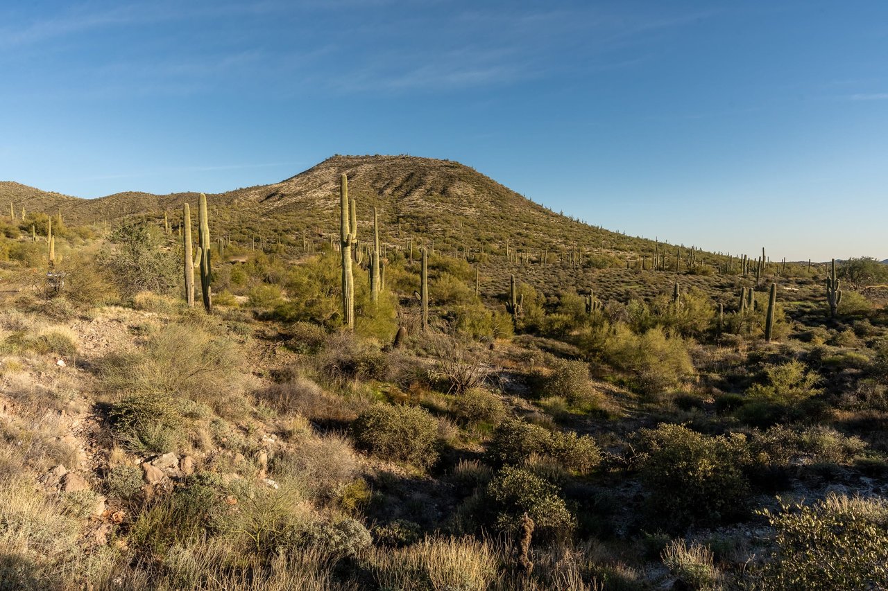 Stagecoach in Continental Mountain Estates in Cave Creek