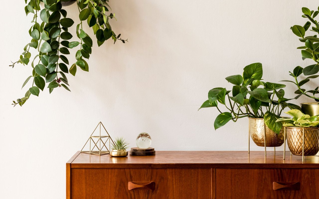 3 Simple Ways to Bring Nature Into Your Home