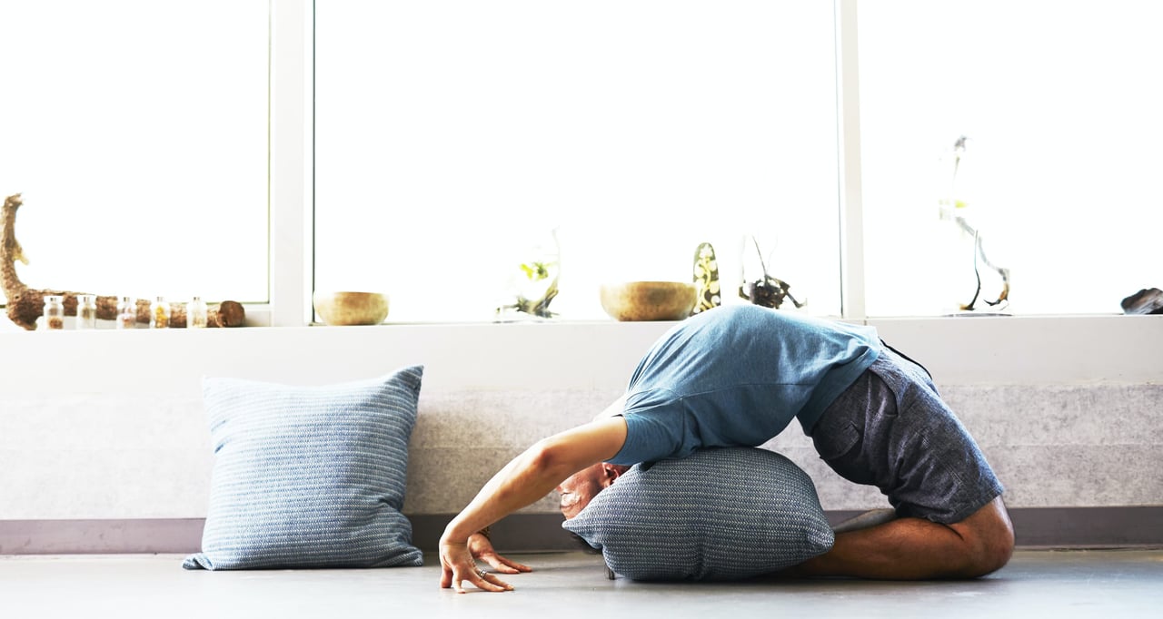 Wellness Highlights 2018