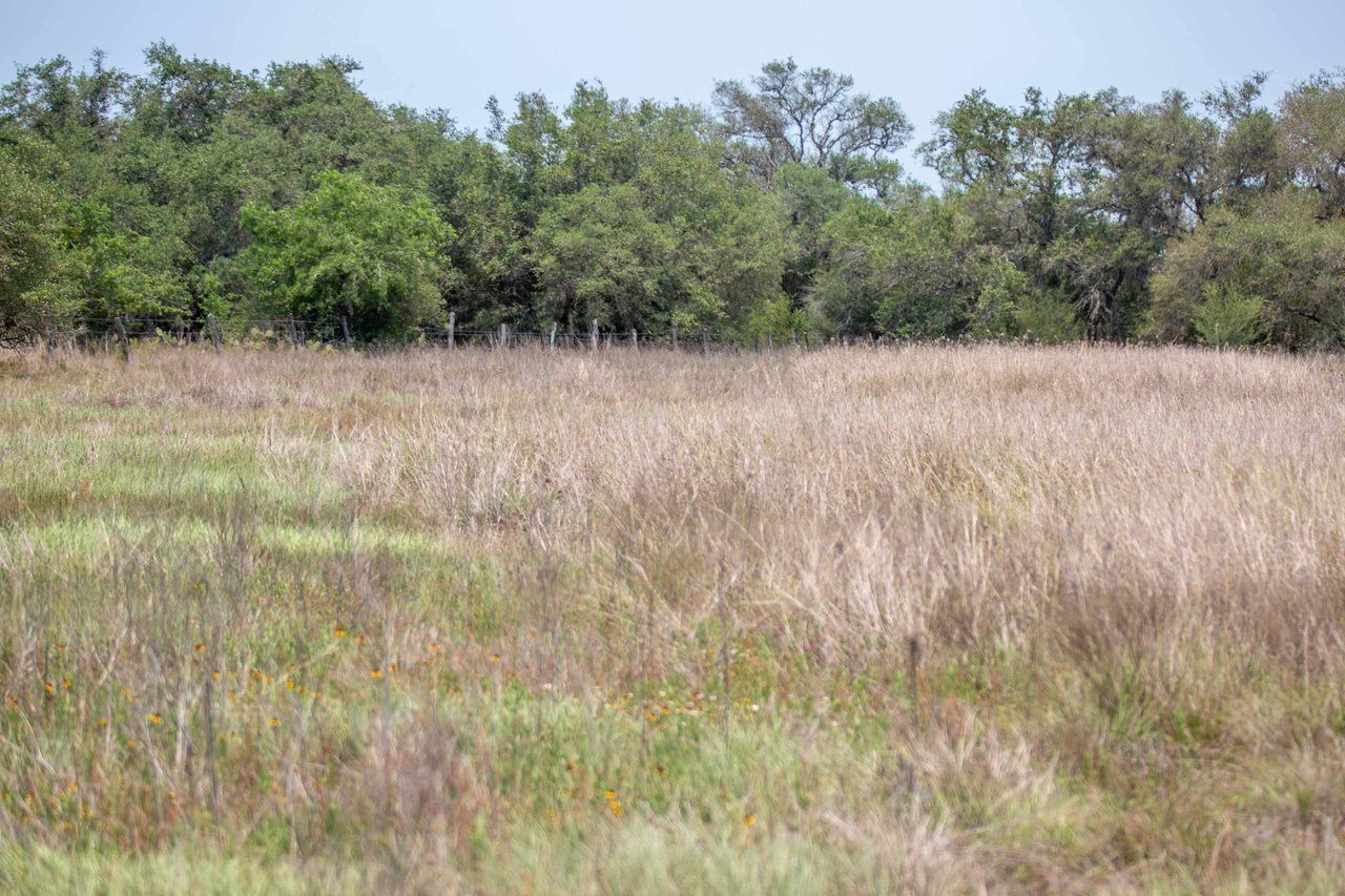 Green DeWitt Rd | 40.82± Acres | DeWitt County