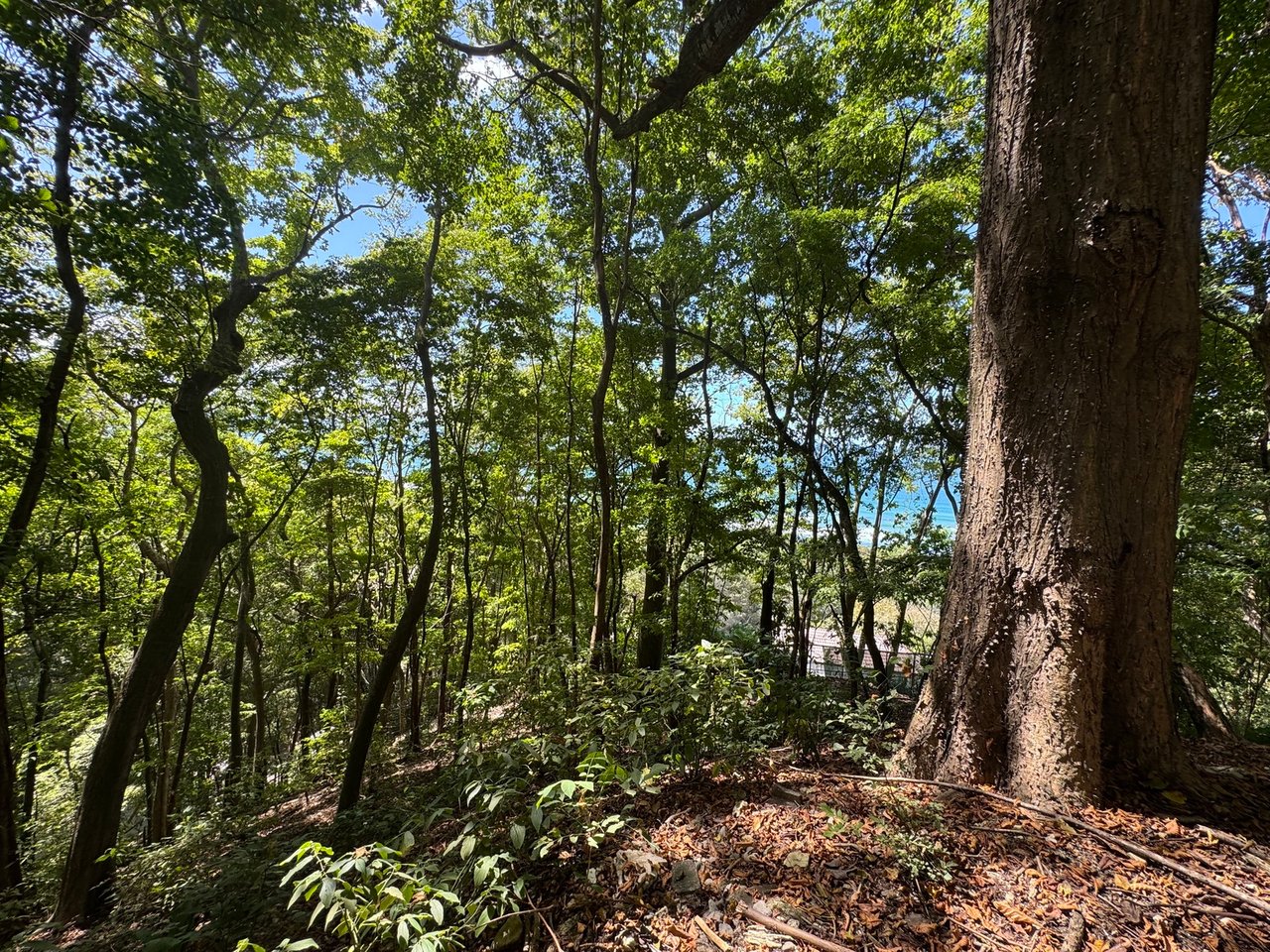 Commercial Ocean View Lot, Santa Teresa, Puntarenas