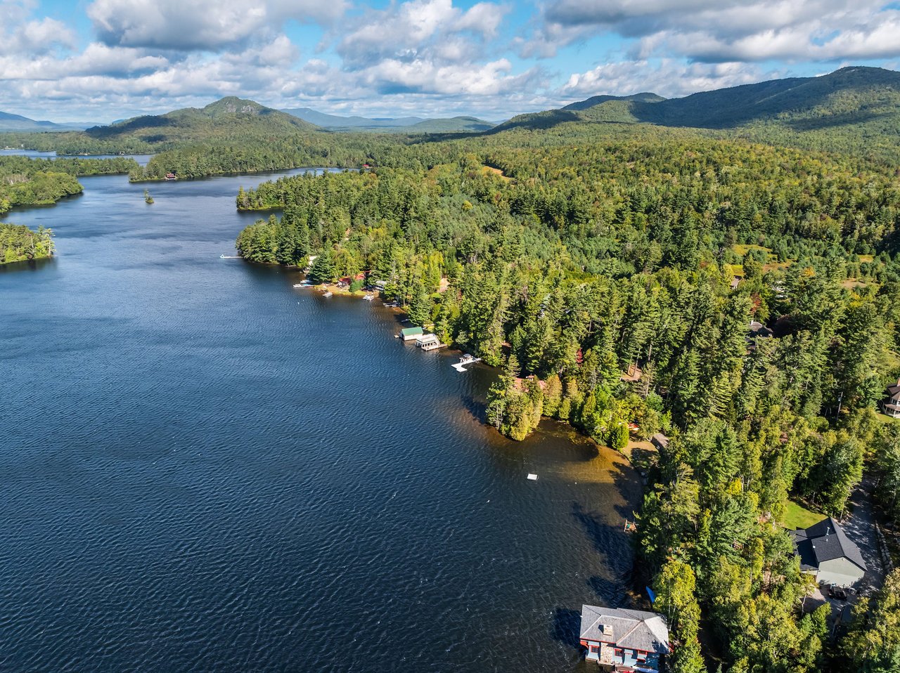 Aerial view of a forested lakeshore with waterfront homes, docks, and distant mountains.