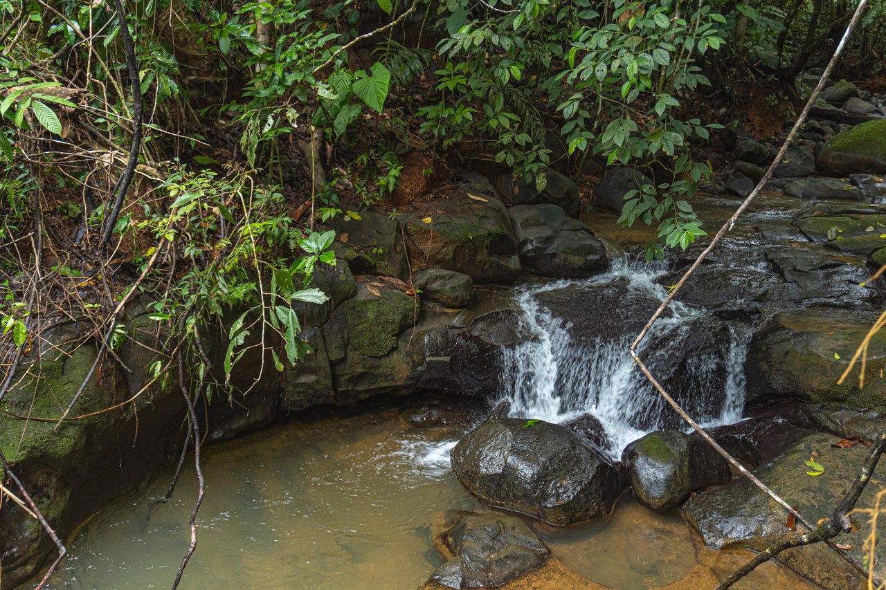 Serene Costa Rican Jungle Retreat with Waterfalls & Wildlife