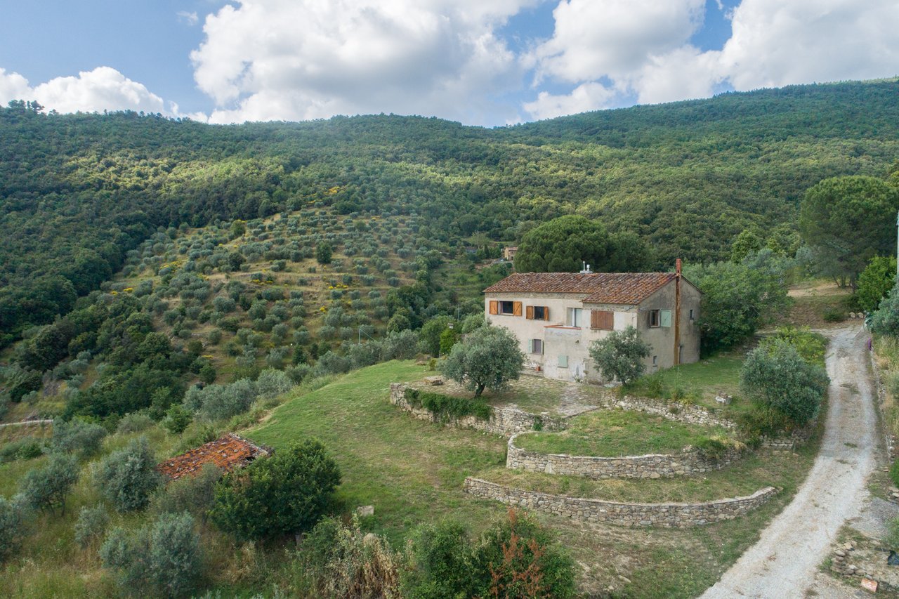 CASALE L'ALLORO