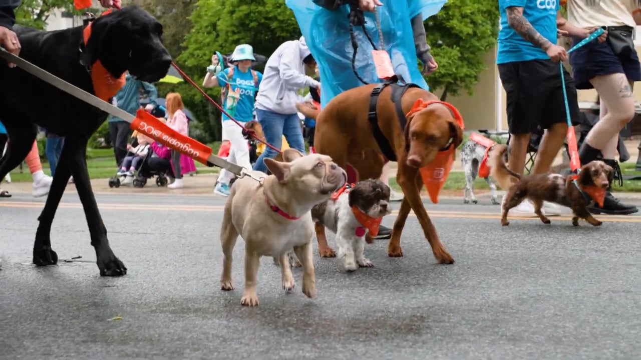 Summer Fun in La Grange