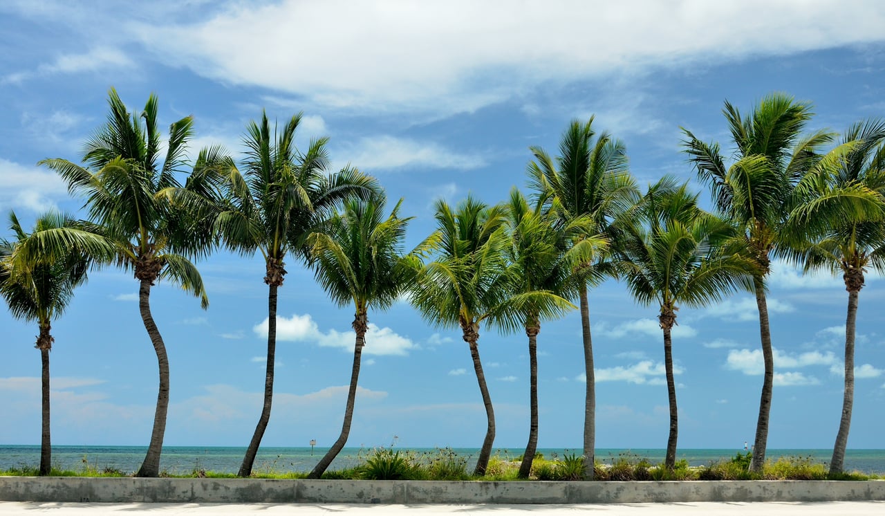 Coconut Creek