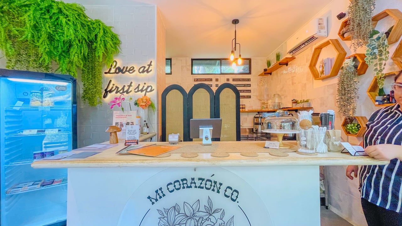 Juice Bar for Sale in Ojochal, Costa Rica | Turnkey Business Opportunity