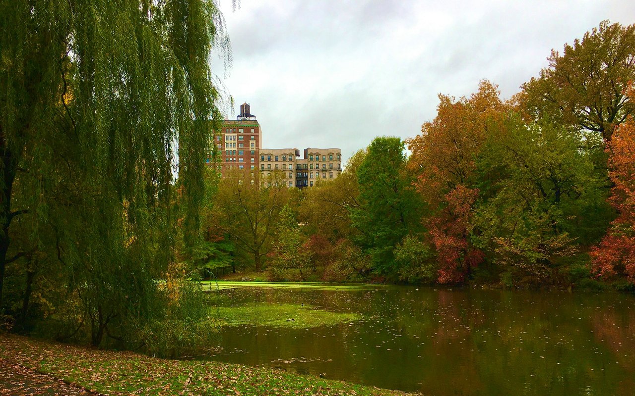 Central Park West