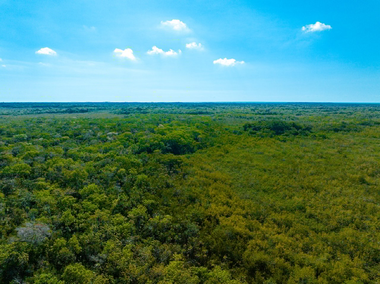 Rancho Del Cielo Maya